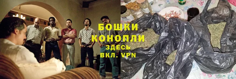 мориарти клад  Шали  Бошки марихуана OG Kush 